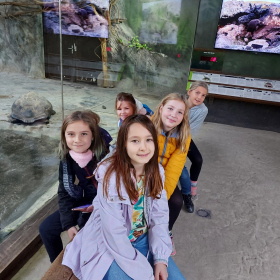 4.C v Zoo 