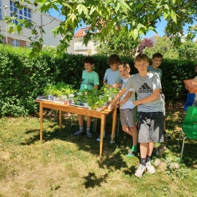 Afrikány pro Afriku Fotka 4