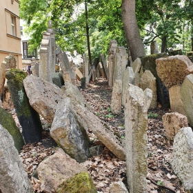 Hanin kufřík Fotka 13