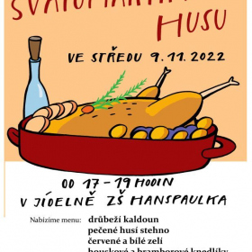 Svatomartinská husa Fotka 1