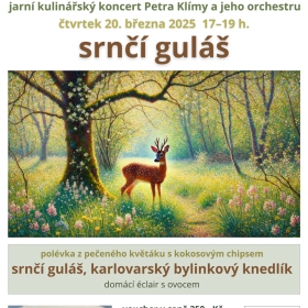Srnčí guláš Fotka 1