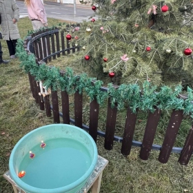 Rozsvěcení vánočního stromečku 2025 Fotka 2