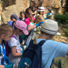 Výlety a školy v přírodě - 3.B Výlet do Zoo Fotka 25