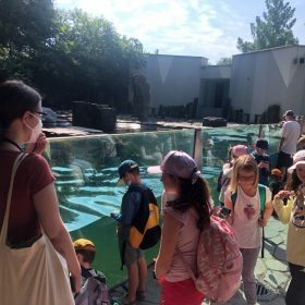 Výlety a školy v přírodě - |
    3.B Výlet do Zoo Fotka 26