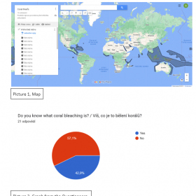  - Mapa - je ukázka průzkumu v rámci práce Coral Bleaching (Sofie T.) Fotka 2