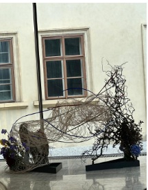 Ukázky výstupů závěrečných prací Fotka 2